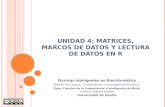 UNIDAD 4: MATRICES, MARCOS DE DATOS Y …fran/TIB/semana4.pdf · Ciencias de la Computación e Inteligencia Artificial ... para la asignatura Informática Aplicada a la Bioquímica