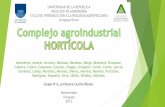 Presentación de PowerPoint · universidad de la repÚblica facultad de agronomÍa ciclo de introducciÓn a la realidad agropecuaria uruguay rural ... frutos maduros: melón-zapallo-frutilla