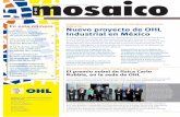 B M I C 1 oMunICaCIón mosaicoº155.pdf · mosaico 1 Nº 155 JUNIO 2013 B ... por tres de las más prestigiosas cadenas ... OHL inició el complejo turístico de lujo Mayakoba en
