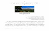BAJO LA SOMBRA DEL URITORCO - factorelblog.comfactorelblog.com/.../BAJO_LA_SOMBRA_DEL_URITORCO.pdf · San Clemente (Chile) y el desierto de Chilca (Perú). En todos estos casos, el