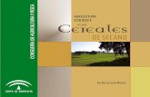 AGRICULTURA EC enOLÓGICA Cereales - …digital.csic.es/bitstream/10261/16607/1/2007 Folleto CEREAL... · aporte de la paja de la cosecha de cereales durante 20 años supone pasar