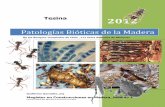 Patologías Bióticas de la Madera · madera al ataque de agentes biológicos de deterioro, tales como hongos e insectos xilófagos, ... Compuestos alifáticos: este grupo comprende