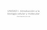UNIDAD I. Introducción a la biología celular y molecularpeces.ens.uabc.mx/bcym/clases/pdf/I-d-tipos-celulares.pdf · VIDA: estado caracterizado por la manifestación metabólica,