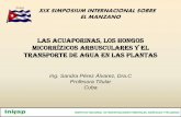 LAS ACUAPORINAS, LOS HONGOS MICORRÍZICOS … · Cambio significativo en la comprensión de las relaciones hídricas de las plantas Control del transporte transcelular de agua en