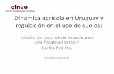 Dinámica agrícola en Uruguay y regulación en el uso de suelosledslac.org/wp-content/uploads/2015/08/paolino_estudio_de_caso... · inducida” entre Planes de Uso Suelos en Agricultura,