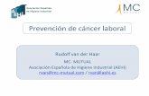 Prevención de cáncer laboral - osalan.euskadi.eus · Factores determinantes de exposición . 19 Proceso / aplicación ... Ejemplos de procesos Rango velocidad de captación (m/s)