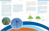 ¿Qué es el Coeciente de Culvo? - agriculturers.comagriculturers.com/.../2017/09/S106_Boletin_Coeficiente_de_cultivo.pdf · efectos de los diferentes factores meteorológicos para