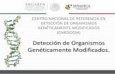 CENTRO NACIONAL DE REFERENCIA EN … · Pesquera (DGIAAP). ... SERVICIO EXTERNO: Ofrecer servicios de detección, identificación, y cuantificación de OGM a todas las personas interesadas