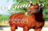 Magazine de las carreras de caballos en Sonora R Cuadra Ed4 SCREEN.pdf · eL fantasma aPenas ‘esPantó’ a La Venus Dos rayas de color blanco cruzaron a toda velocidad la pista