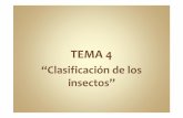 “Clasificación de los insectos” - selvicultura · Apterigota Endopterigota Colémbola Thysanura Coleóptera Díptera Lepidóptera Himenópteros Orden * Solo se mencionan los