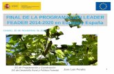 FINAL DE LA PROGRAMACIÓN LEADER FEADER … · Estado de la programación FEADER 2014-2020 en Europa 99.500 M € FEADER total para el periodo 2014- 2020 8.297 M € FEADER asignado
