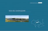 VEGA DEL GUADALQUIVIR - Iniciopaisajeyterritorio.es/assets/a2-02.-vega-del-guadalquivir.pdf · La vega del Guadalquivir se configura históricamente como uno de los espacios más
