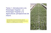 Tema 1. Introducción a la Fisiología Vegetal . La ...ocw.bib.upct.es/pluginfile.php/5378/mod_resource/content/1/Tema1.pdf · Comprender el funcionamiento de las plantas en relación
