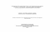 OBTENCION DE GOMA BASE PARA LA ELABORACION DE CHICLE ...repositorio.unisucre.edu.co/bitstream/001/268/2/T664.6 C829.pdf · OBTENCION DE GOMA BASE PARA LA ELABORARION DE CHICLE NATURAL