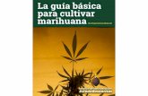 La guía básica para cultivar marihuana · Poder leer la guía como un libro, a ratos, cuando apetezca, pero siempre antes de ... Al lado de este icono con fondo amarillo se pueden
