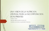 Presentación de PowerPoint - sap.org.ar Hepato Nutri/PDFs/Sosa... · DIETA Y PREVENCION Vitamina D, se le han reconocido efectos en la función inmune, así ... CONSEJOS GENERALES