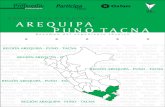 PROPUESTA DE REGIÓN AREQUIPA - PUNO - … · 2011-11-29 · una Comisión Técnica integrada por personas designadas por los gobiernos regionales de Tacna, Moquegua, Arequipa y Puno,