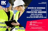 Temario SEGURIDAD PROYECTOSprojectixs.com/Brochure/Febrero/Temario_SEGURIDAD_PROYECTOS.pdf · de obra, Supervisores SSOMA, prevencioncitas de riesgos, profesionales que quieran ampliar