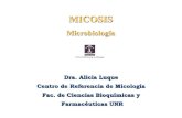 Sin título de diapositiva - fbioyf.unr.edu.ar · de Micosis oportunistas MICOSIS OPORTUNISTAS . ... Infecciones oportunistas producidas por hongos pertenecientes a la clase Zygomycetes,