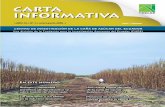 CARTA INFORMATIVA - cincae.orgcincae.org/wp-content/uploads/2013/04/1_7-PDF_Año-10-No.-1.pdf · y sus efectos en la industria azucarera Presencia de enfermedades foliares de la caña