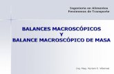 BALANCES MACROSCÓPICOS Y BALANCE MACROSCÓPICO DE MASA · Balances Macroscópicos de Masa 106 La expresión general del balance macroscópico de masa: Estado Estacionario ∂ /∂t