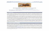Artrópodos exóticos e invasores - sea-entomologia.orgsea-entomologia.org/IDE@/revista_08.pdf · Introducción Artrópodos exóticos e invasores Manual ... de los elementos más