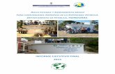 INFORME EJECUTIVO FINAL 2015 - … · agua potable y saneamiento bÁsico para comunidades indÍgenas de la esperanza-intibucÁ. departamento de intibucÁ, honduras. informe ejecutivo