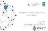 Nuevas Formas de Organización de la Formación Doctoral en … · 2017-11-13 · Doctoral en México ... VENEZUELA 63 41 29 133 ECUADOR 65 21 45 131 ... Modelo de Acreditación de