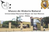 Museo de Historia Natural - cbd.int · El Museo de Historia Natural (MHN) es el depositario de colecciones científicas cuyo valor biológico e histórico es incalculable. Cerca de