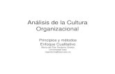 Análisis de la Cultura Organizacional - Biblioteca ... · Etkin y Schvarstein (1994 y 1995) • Visión sistémica: Modos de pensar, creer y hacer cosas en el sistema, se encuentren