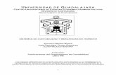 UNIVERSIDAD DE GUADALAJARAcucea.udg.mx/include/publicaciones_drupal/pdfs/sist... · 2017-07-20 · DIARIO DE CAJA ... PASIVO EVENTUAL O DE CONTINGENCIA ... que el estudiante comprenda