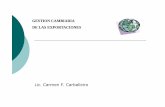 GESTION CAMBIARIA DE LAS EXPORTACIONEScac.com.ar/documentos/13_CARBALLEIRO.pdf · Matrices y subsidiarias del exportador ... La liquidación del seguro, donde figure fecha, lugar