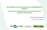 MICROBIOLOGIA APLICADA AO SANEAMENTO …saneamento.cnpdia.embrapa.br/downloads/Microbiologia_aplicada_ao... · MICROBIOLOGIA APLICADA AO SANEAMENTO BÁSICO Conceitos fundamentais