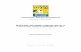 UNIVERSIDAD AUTÓNOMA DE MANIZALESrepositorio.autonoma.edu.co/jspui/bitstream/11182/87/1/TESIS DE... · INCIDENCIA DE LAS REPRESENTACIONES MÚLTIPLES EN LA FORMACIÓN DEL CONCEPTO
