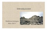 Introducción - cuencas.fcien.edu.uycuencas.fcien.edu.uy/cursos/materiales/introduccion sedi2011.pdf · ¿Qué es un roca sedimentaria? ... SP ES FEL IEL GR D Diagrafías. Registro