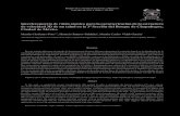 Interferometría de ruido sísmico para la caracterización ...boletinsgm.igeolcu.unam.mx/bsgm/vols/epoca04/6802/(1)Cardenas.pdf · geofísica 2D y 3D, y los esfuerzos de los fabricantes