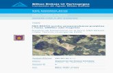 Bilbao Bizkaia Ur Partzuergoa Consorcio de Aguas … de... · Su objeto es describir los procedimientos, equipos técnicos ... provistos de los debidos dispositivos de seguridad ...