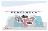 VENEZUELA - observatoriodeconflictos.org.ve · nen estos colectivos con figuras o instituciones ... en el municipio Caroní de Puerto Or- ... la promoción de aspectos culturales.