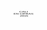 CALI EN CIFRAS 2015 - planeacion.cali.gov.co pdf... · Red Nacional de Museos Ciudad Limpia, Promo Valle, Promo Cali, Emas Hospital Universitario del Valle . ... 1.3 VIVIENDAS, BARRIOS