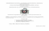 Universidad Nacional Autónoma de Nicaragua, …repositorio.unan.edu.ni/2007/1/17356.pdf · oportunidades de poder incursionar y posicionarse en el mercado tanto nacional como internacional.