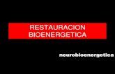 RESTAURACION BIOENERGETICArestauracionbioenergetica.es/images/PDF/neurobioenergetica.pdf · sistema límbico proporciona los primeros auxilios en situaciones emocionales ... afectan