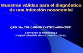 Muestras válidas para el diagnóstico de una infección ...himfg.com.mx/descargas/documentos/Muestrasvalidasparaeldiagnostic... · el laboratorio de microbiologia en el control de