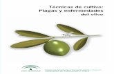 Técnicas de cultivo - juntadeandalucia.es · Técnicas de cultivo: plagas y enfermedades del olivo / autores, José Luis Molina de la Rosa ... [et al.]. --- ... les y por ello se