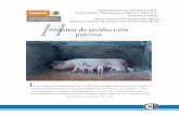ECRETARIA DE GRICULTURA GANADERIA ESARROLLO URAL ESCA Y ... de produccion Porcina.pdf · manejo sanitario, genético y estrategias de mercado adecuadas, pueden ser una excelente fuente