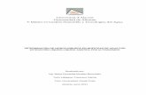 Universitat d’Alacant Universidad de Alicante V Máster … · Líneas y proyectos de investigación, desarrollo e ... la determinación de hidrocarburos, aceites y ... de hidrocarburos,