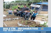 Boletín informativo FAO en Guatemala, Julio 2015 · 2017-11-28 · 2015 Año Internacional de los Suelos Ayudar a eliminar el hambre, la inseguridad alimentaria y la malnutrición