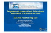 Programas de prevención de Infecciones Asociadas a … · World Health Organization 2009. Tipos de organización local Comités de IAAS ... La importancia del contexto ... III Reunión