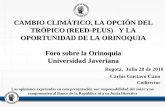 CAMBIO CLIMÁTICO, LA OPCIÓN DEL TRÓPICO … CLIMÁTICO, LA OPCIÓN DEL TRÓPICO (REED-PLUS) Y LA OPORTUNIDAD DE LA ORINOQUIA Foro sobre la Orinoquia Universidad Javeriana Bogotá,