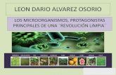 LEON DARIO ALVAREZ OSORIO - Federación de orgánicos de ... · PRINCIPALES DE UNA ¨REVOLUCIÓN LIMPIA¨ ... Clases de ingredientes activos Insecticidas 73 (39%) 133 (33%) Herbicidas