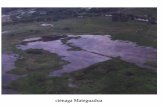 ciØnaga Las Mellizas - neotropicos.org · principal de los ríos; almacenan los caudales ... playón tapón potrero dique obras de control minería evaluada espejo de agua cartografía
